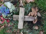 image of grave number 924845